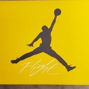 Air Jordan 4 Retro Lighting